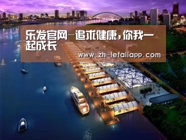 案例展示八