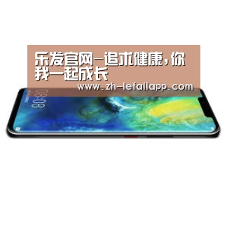 华为无线快充手机