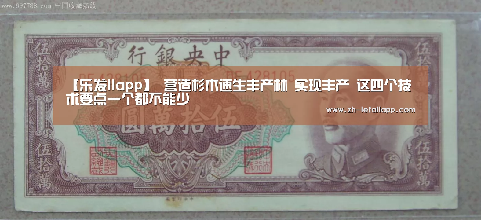 乐发llapp