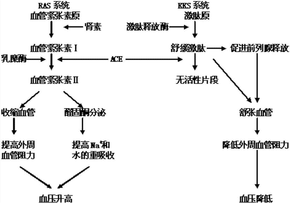 乐发llapp