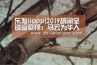 乐发llapp|2019胡润全球富豪榜:马云为华人首富、全球第22位(图4) 乐发llapp