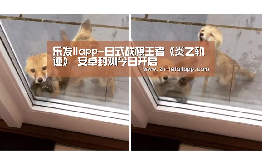 乐发llapp-日式战棋王者《炎之轨迹》 安卓封测今日开启(图2) 乐发llapp