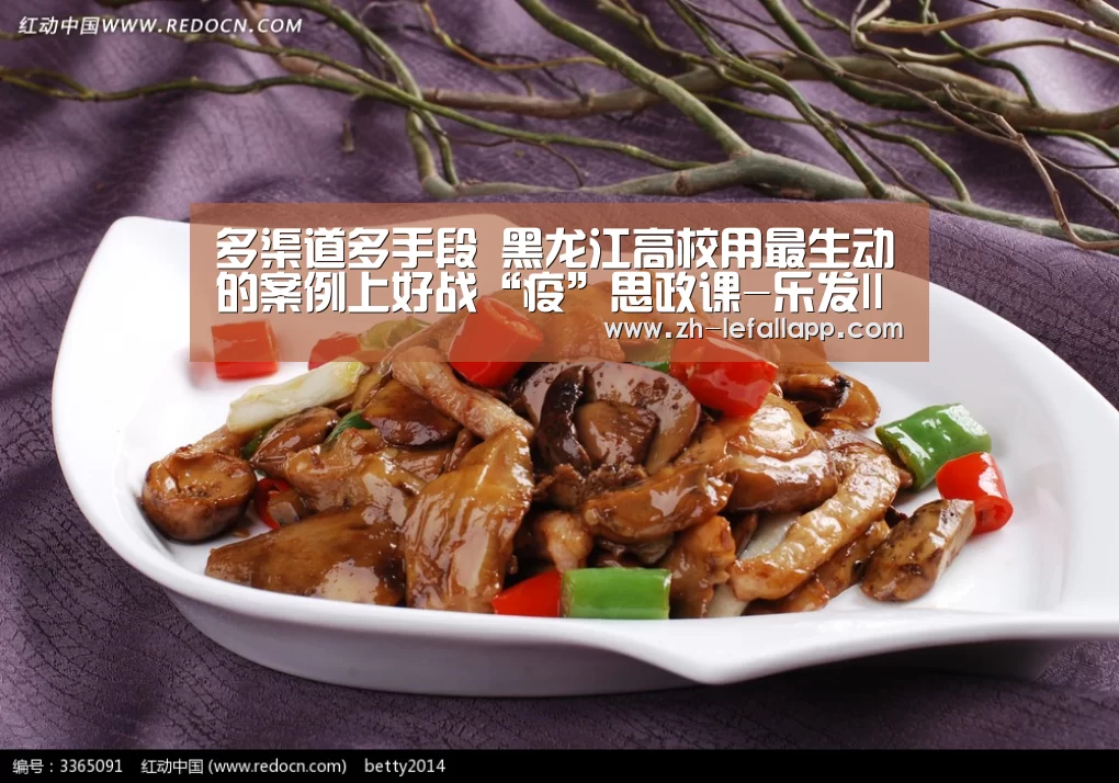 乐发llapp