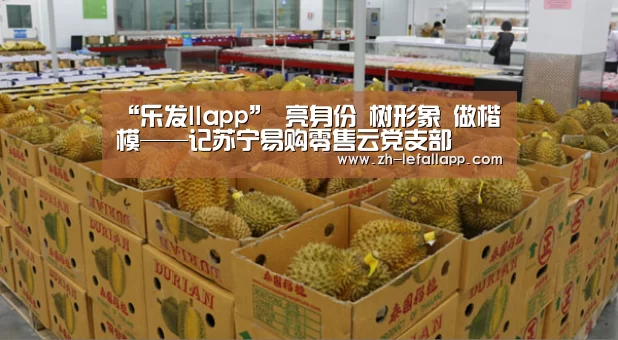 “乐发llapp”
亮身份 树形象 做楷模——记苏宁易购零售云党支部(图2) 乐发llapp