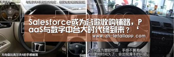 乐发llapp