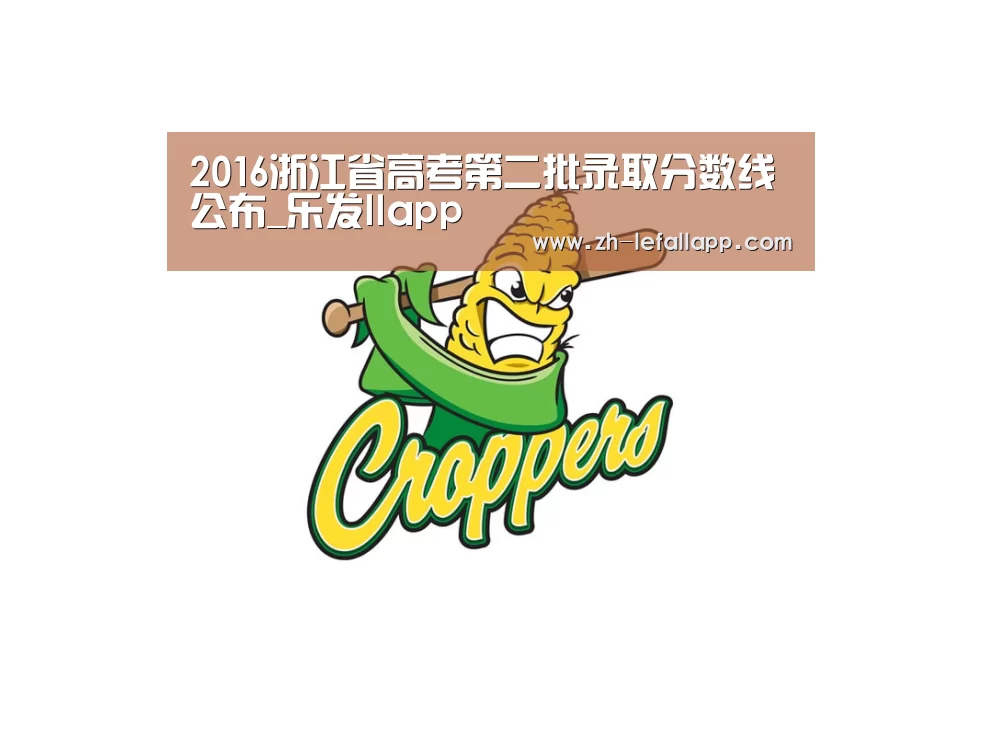 乐发llapp