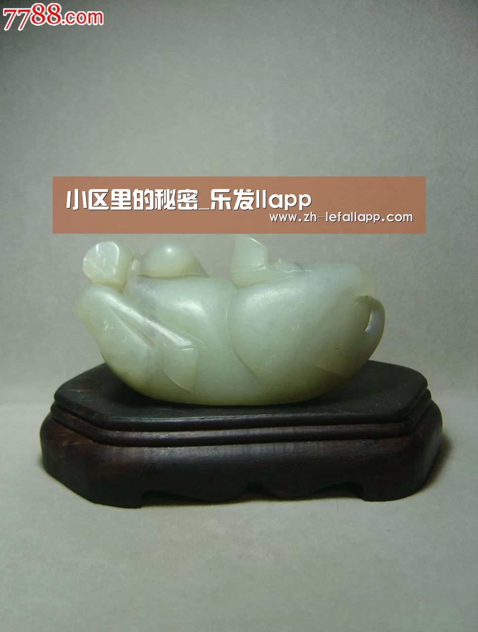 乐发llapp