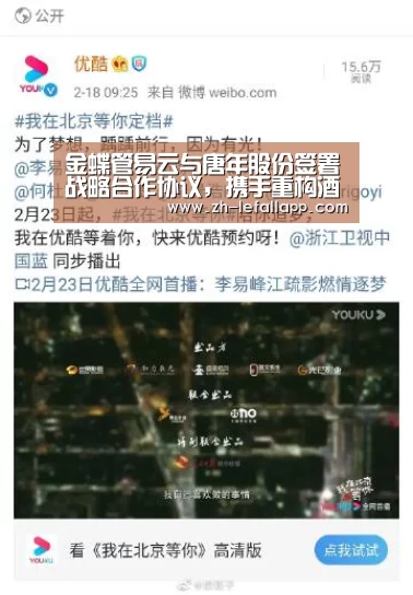 乐发llapp
