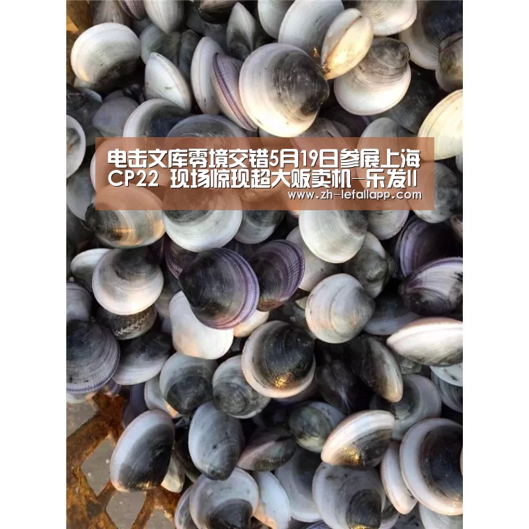 电击文库零境交错5月19日参展上海CP22 现场惊现超大贩卖机-乐发llapp(图1) 乐发llapp