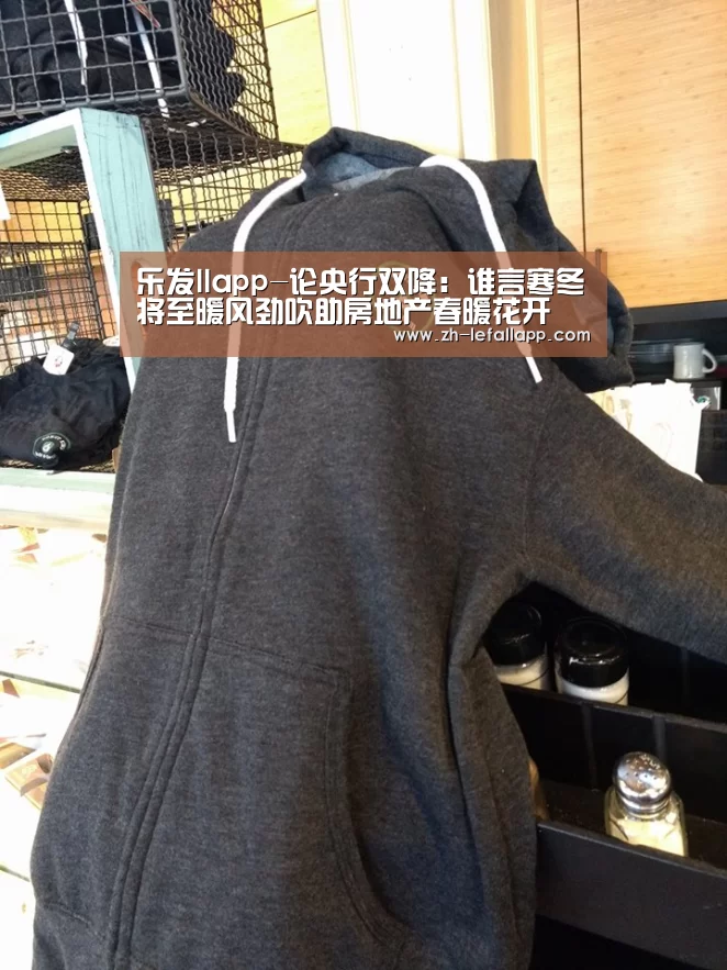 乐发llapp-论央行双降:谁言寒冬将至暖风劲吹助房地产春暖花开(图1) 乐发llapp