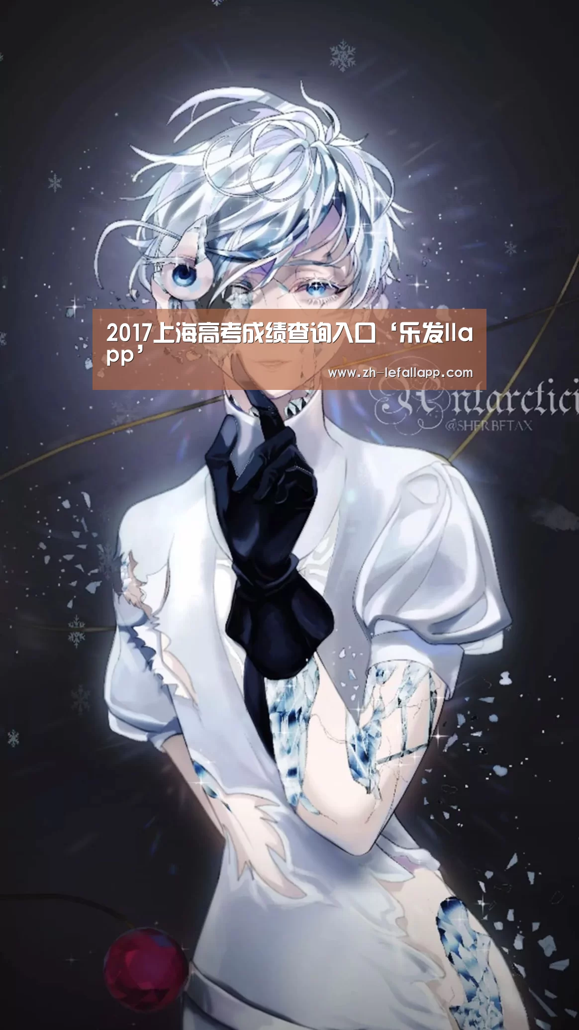 2017上海高考成绩查询入口‘乐发llapp’(图2) 乐发llapp
