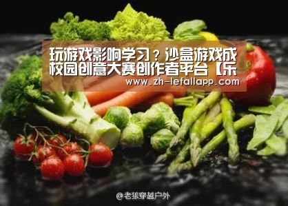 玩游戏影响学习?沙盒游戏成校园创意大赛创作者平台【乐发llapp】(图3) 乐发llapp