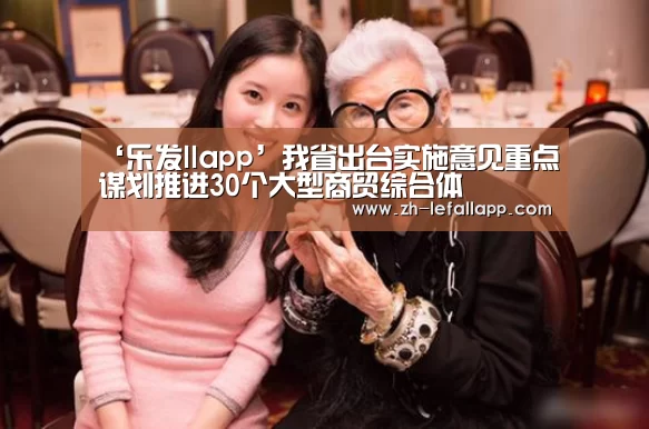 ‘乐发llapp’我省出台实施意见重点谋划推进30个大型商贸综合体(图2) 乐发llapp