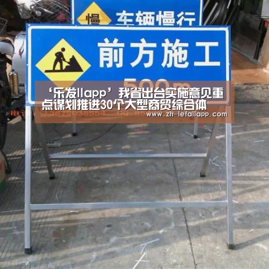 ‘乐发llapp’我省出台实施意见重点谋划推进30个大型商贸综合体(图1) 乐发llapp
