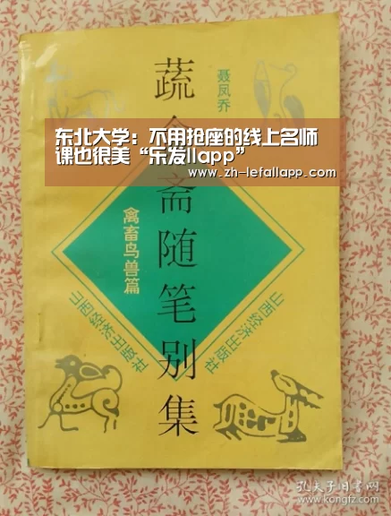 乐发llapp
