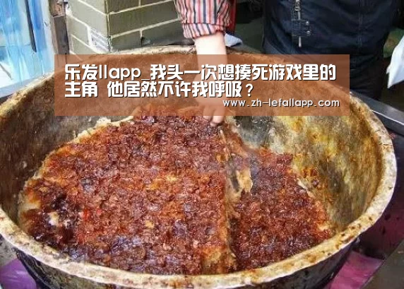 乐发llapp