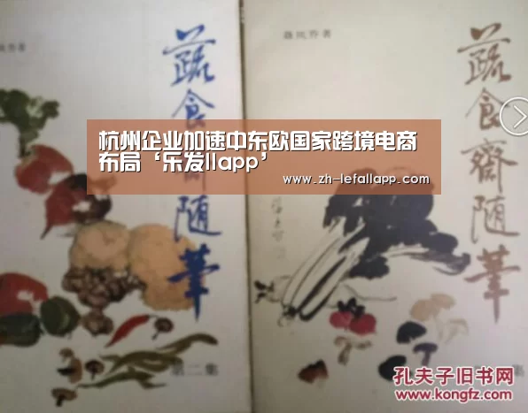 杭州企业加速中东欧国家跨境电商布局‘乐发llapp’(图3) 乐发llapp